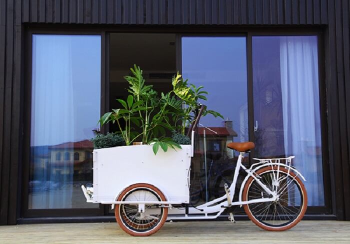 Cargo Bike