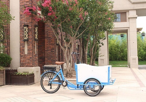 Electric Cargo Bike